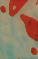 charles schneider vase aux papillons partie centrale_4