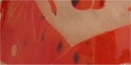 charles schneider vase aux papillons partie haute_1