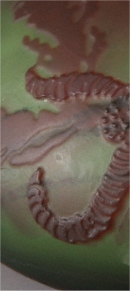 Emile Galle Etoile details_2